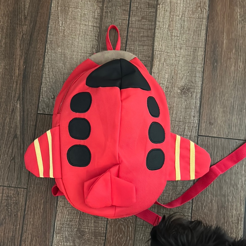 Kids Ladybug backpack